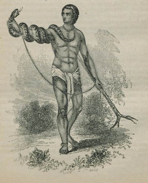Snake catcher holding stick with one arm while other is outstretched with snake wrapped around it.