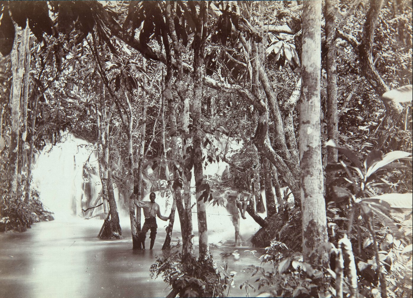 Three people in a swamp with tall trees; two of the people stand in the water; one sits on a branch.